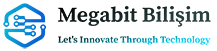 logo_1_megabit